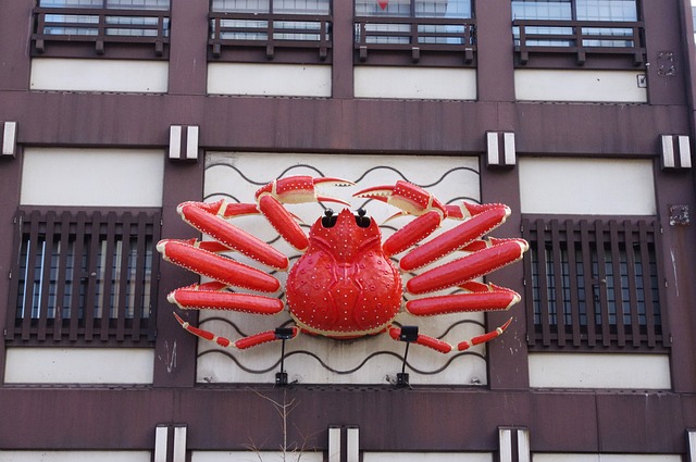 삿포로여름여행