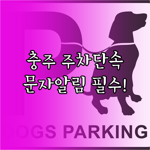 충주시 주정차 단속 구역 확인 및 실..