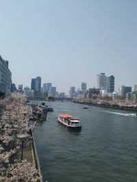 오사카 여행지 추천 오사카 나카노시마 공원