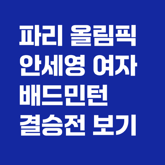 안세영 배드민턴 결승