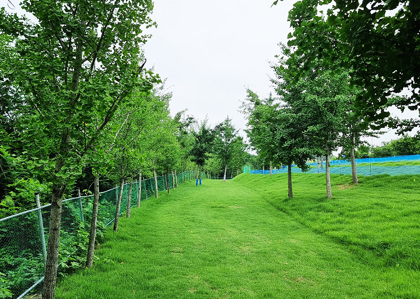 경상북도 경산 일월파크골프장 (일월 피닉스파크골프클럽) 소개