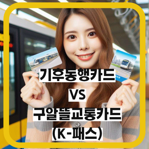 카드-비교