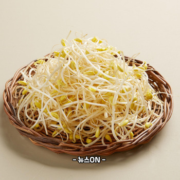 콩나물 무침 맛있게 만드는법