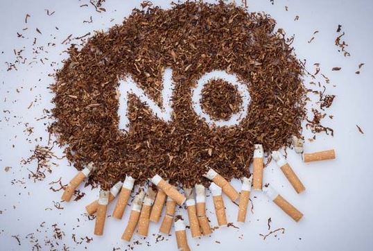 비타스틱-청소년