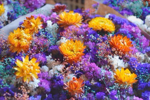 고양국제꽃박람회 2025! 일산 호수공원 개막일·입장료·주차 총정리