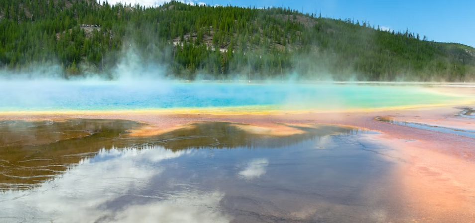 Heat Shock과 고열 사이의 차이