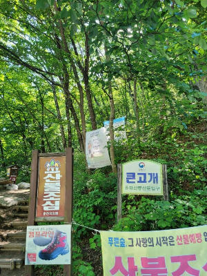 용화산 큰고개