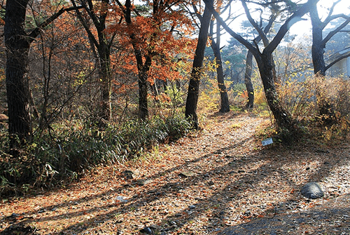 만연산02