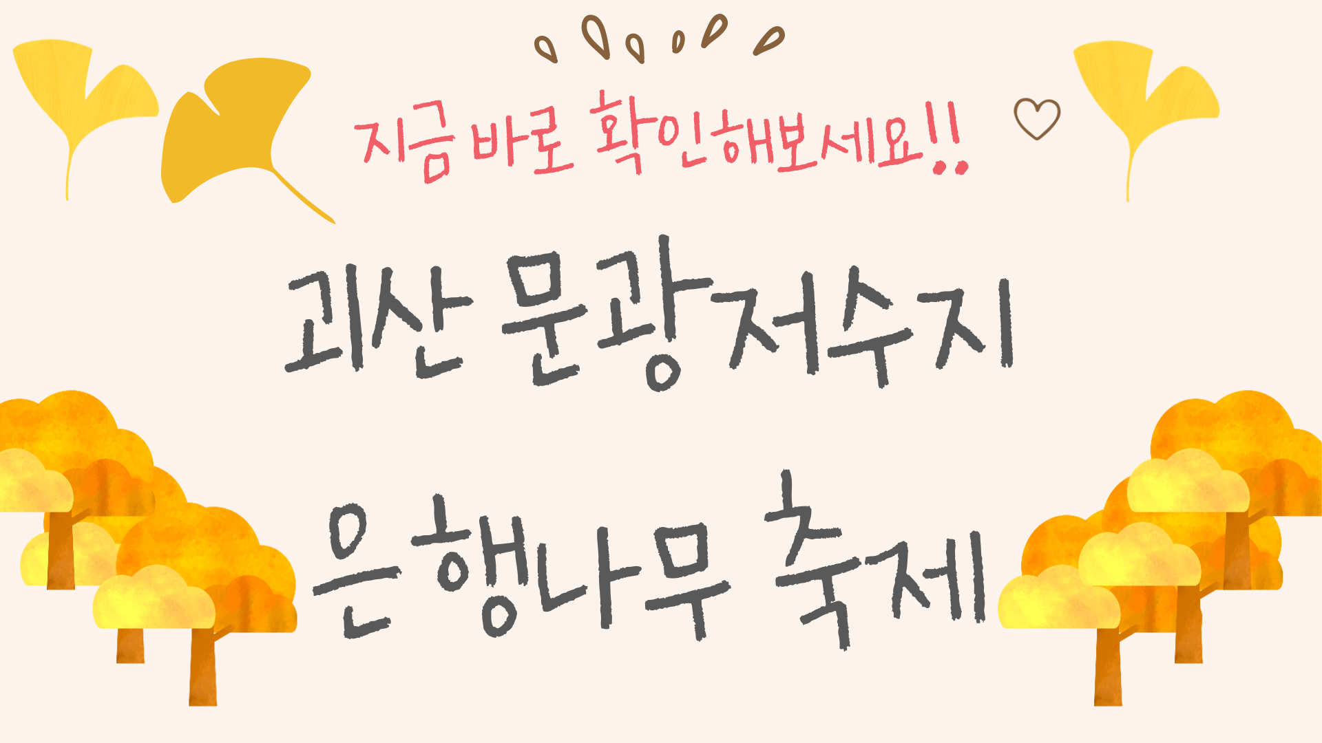 문광저수지 은행나무길