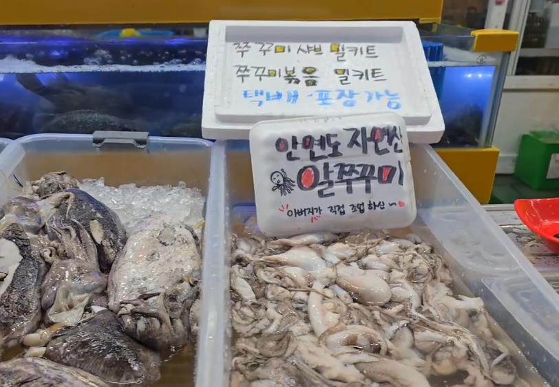 안면도 자연산 알쭈꾸미로 만든 6시내고향 안면도수산시장 쭈꾸미샤브샤브밀키트