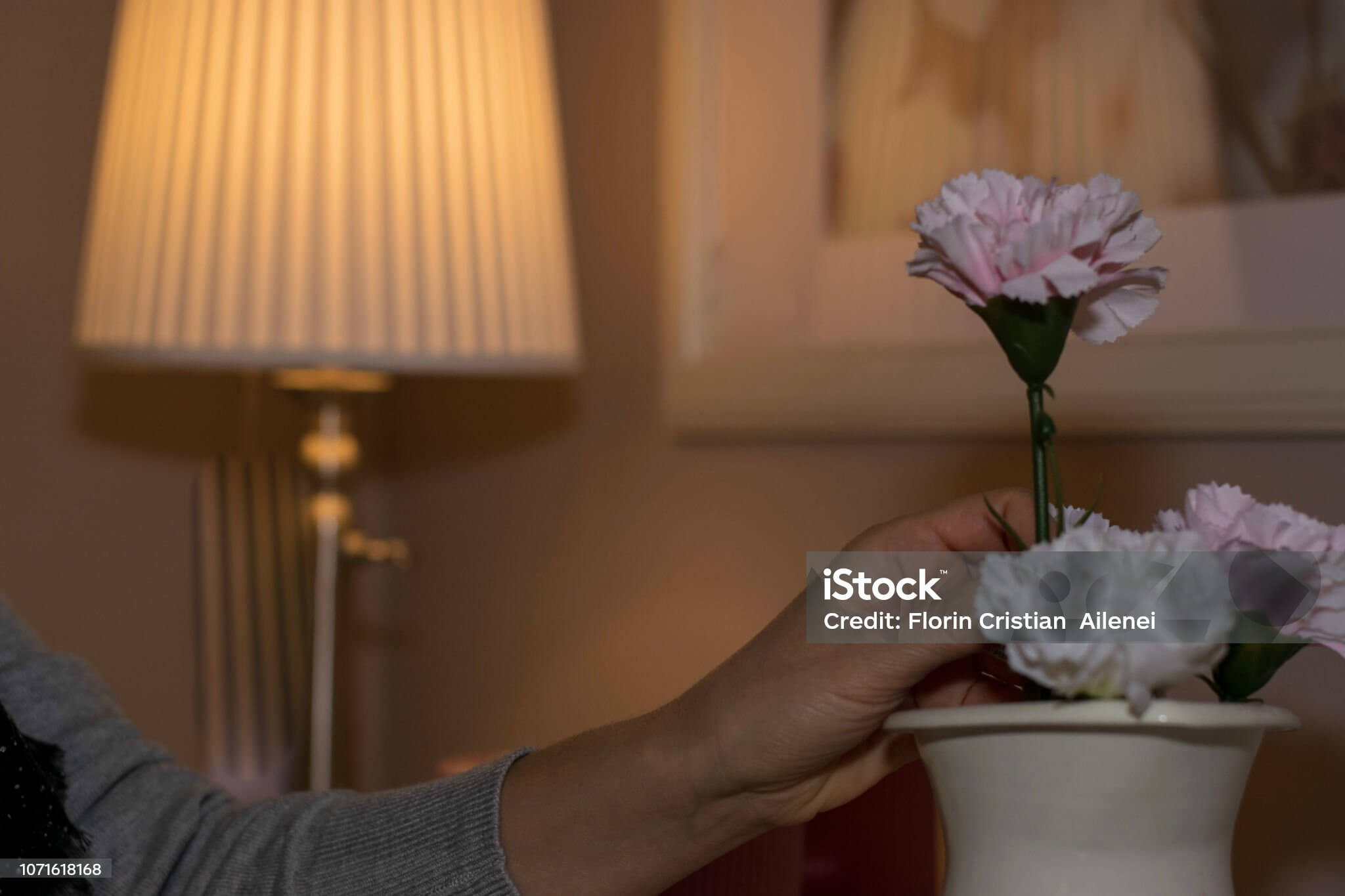 작은 방에 꽃 한 송이를 두니 마음이 달라졌다