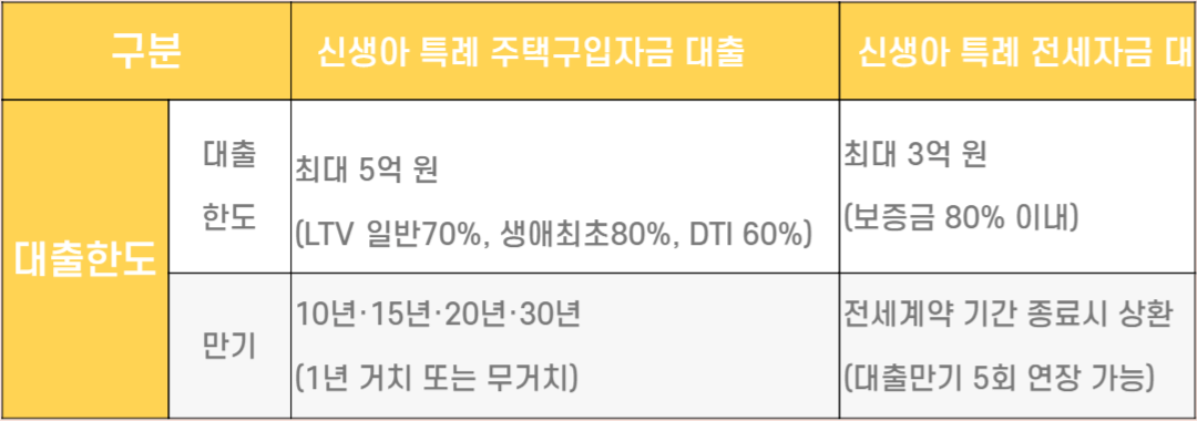 정부정책 신생아 특례대출 신청방법, 조건, 대상