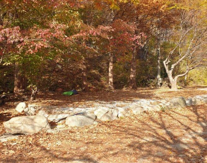 김천 옥당걸숲속관광농원