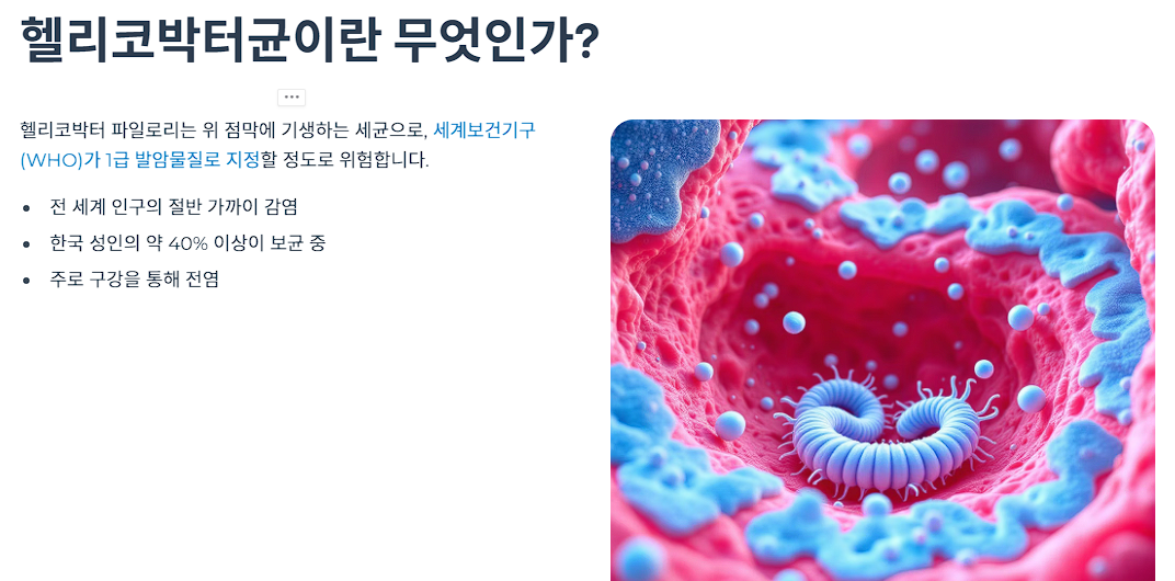 헬리코박터균이란 무엇인가?
