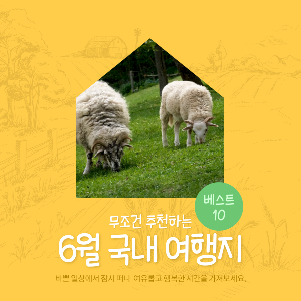 6월 국내여행장소