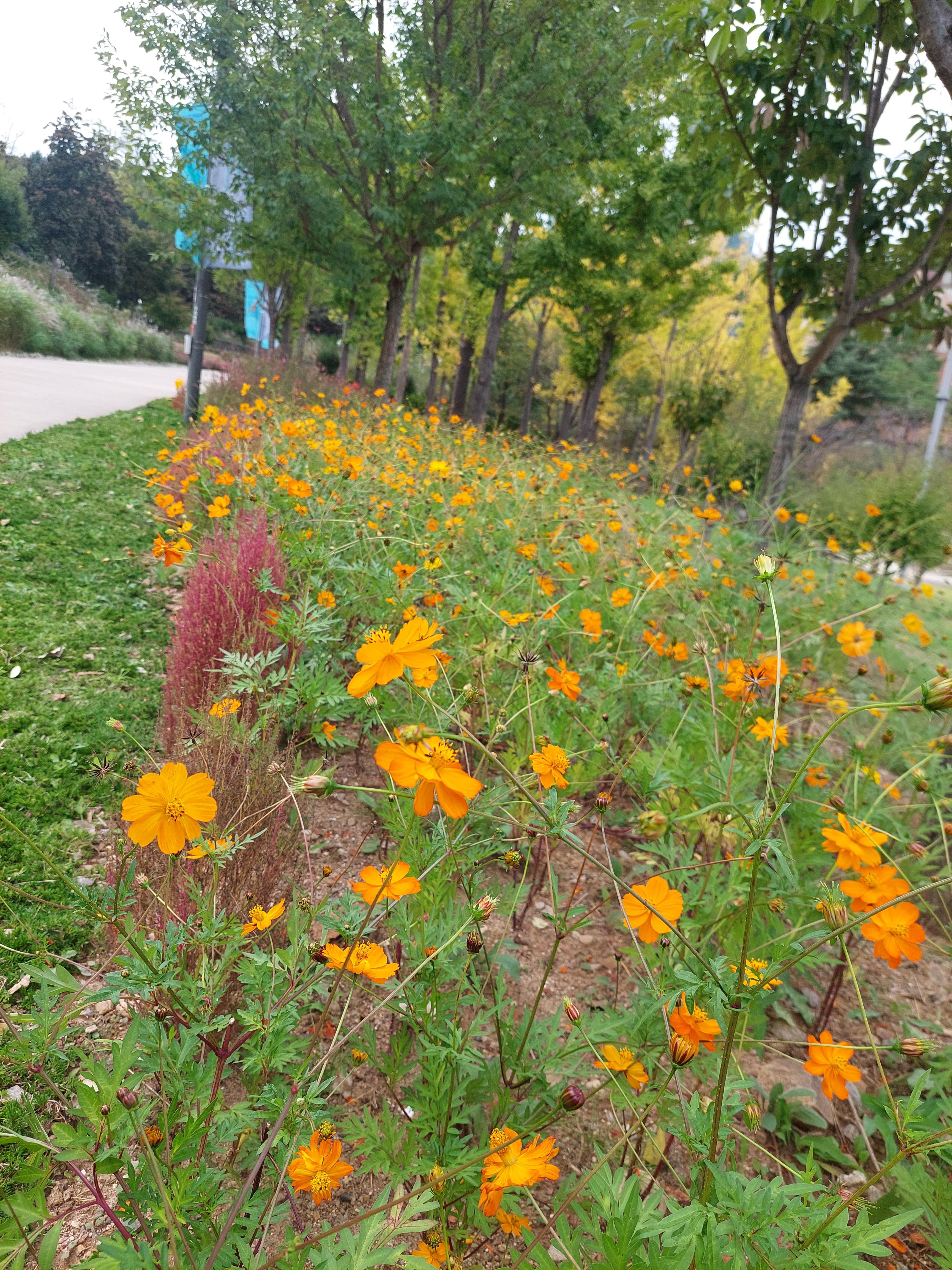 하늘공원