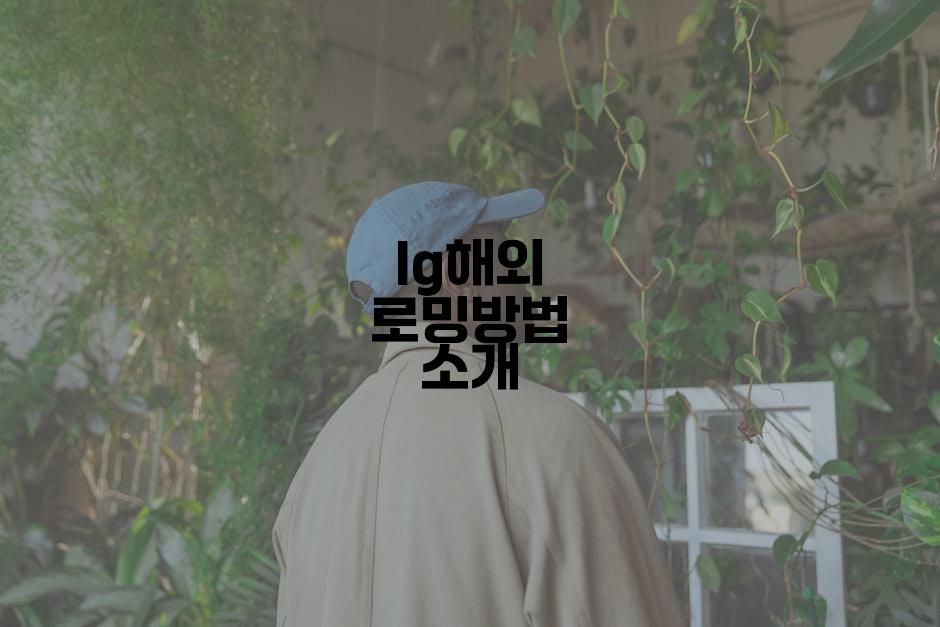 lg해외 로밍방법 소개