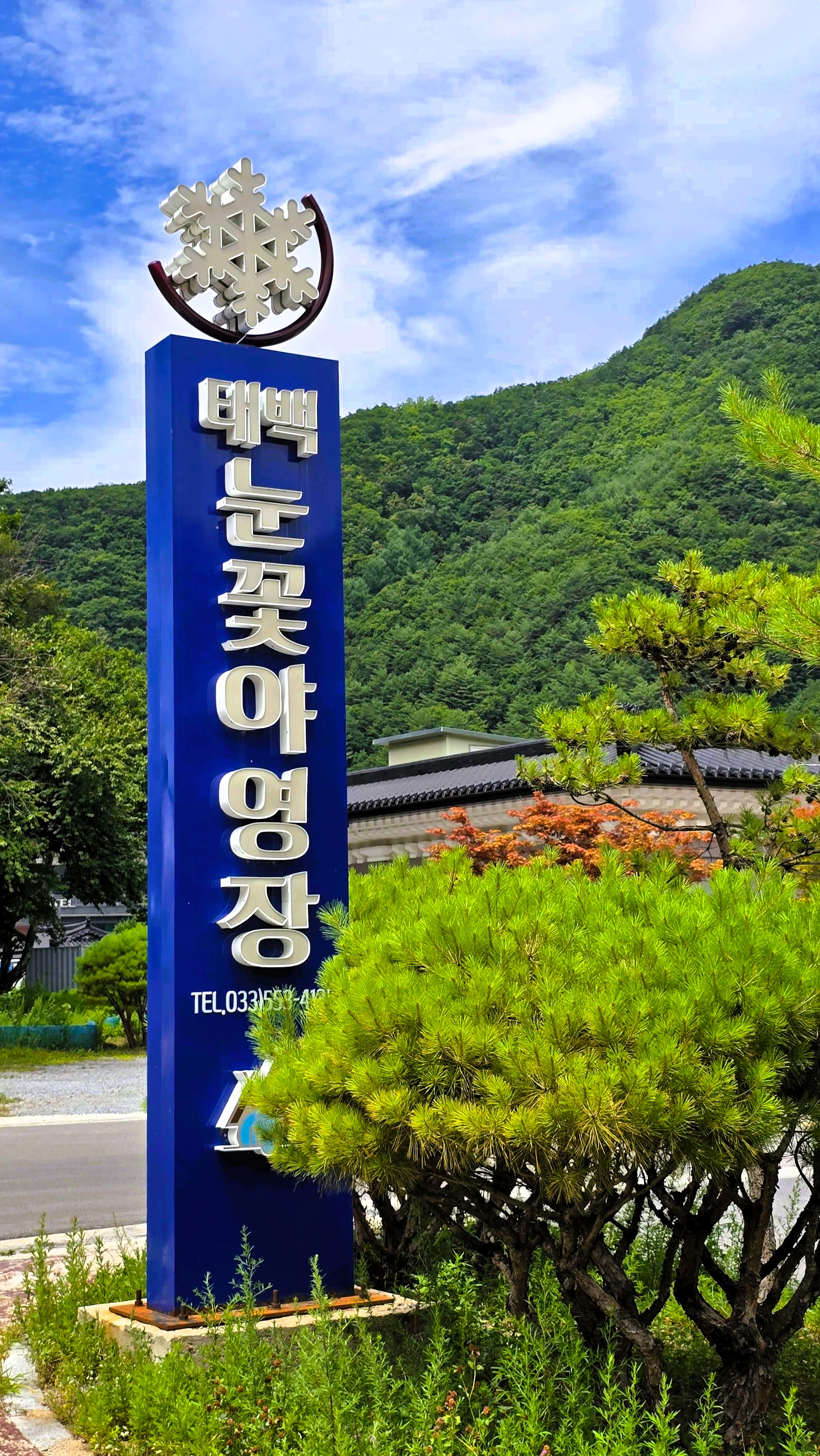 태백 눈꽃야영장∣예약 꿀팁 및 명당 추천&amp;#44; 카라반 진입 가능
