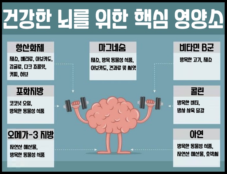 뇌 건강에 좋은 영양소
