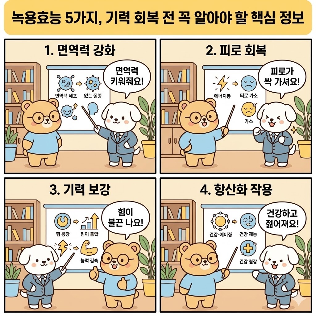 녹용효능 5가지, 기력 회복 전 꼭 알아야 할 핵심 정보