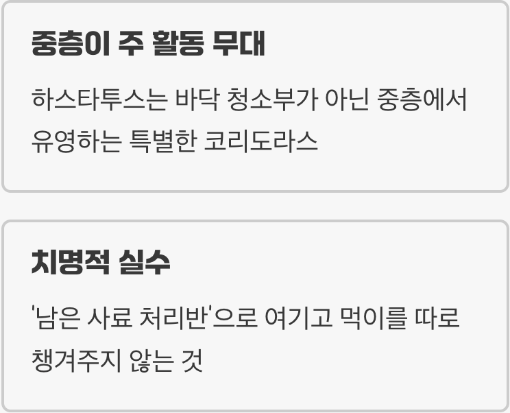 '바닥 청소부'라는 가장 큰 오해