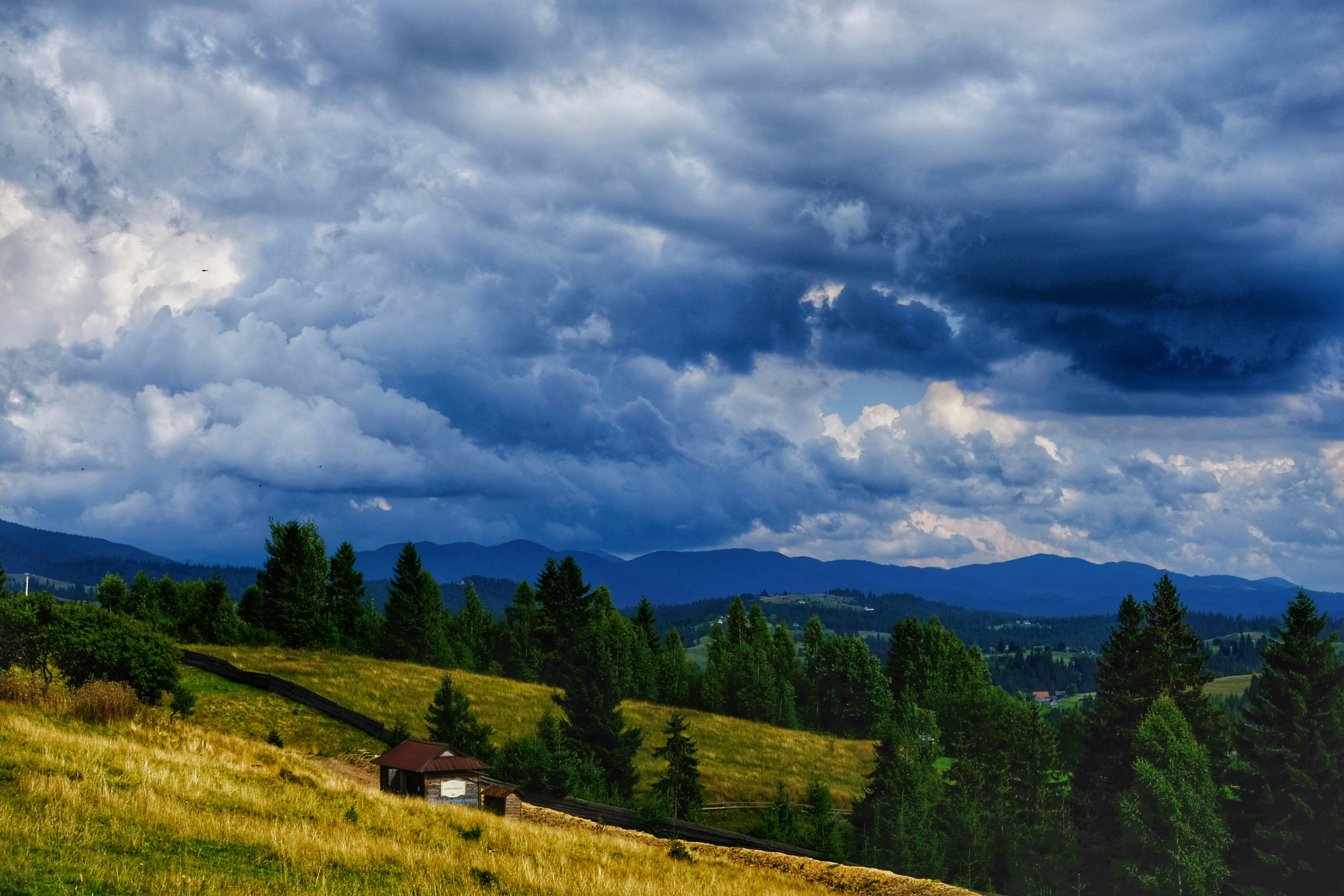 닌텐도 스위치2 사전예약 가격 응모 출시일