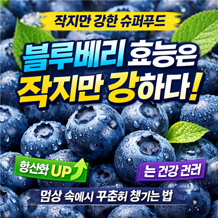 블루베리 효능