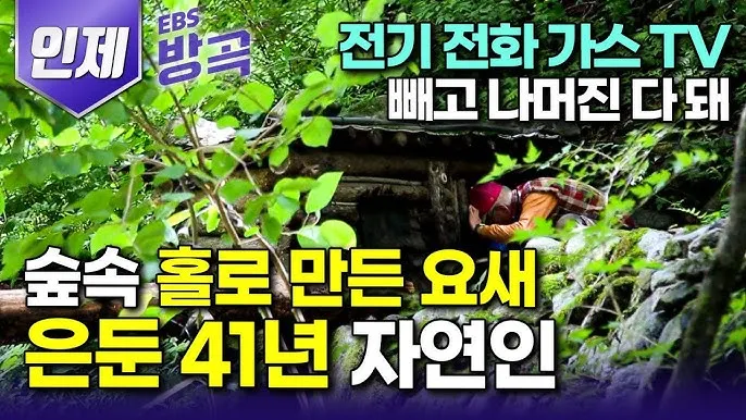 인제 가볼만한곳 베스트10 여행 코스 맛집_5