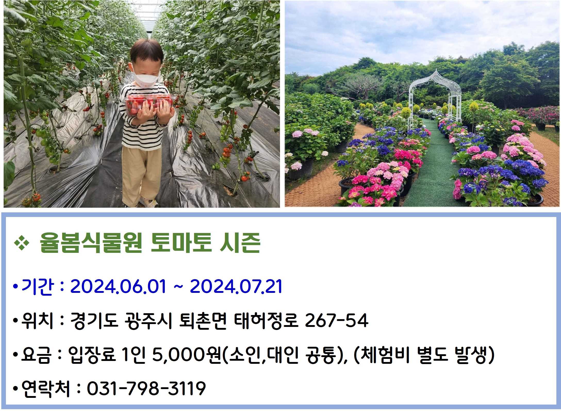 율봄식물원 토마토 시즌