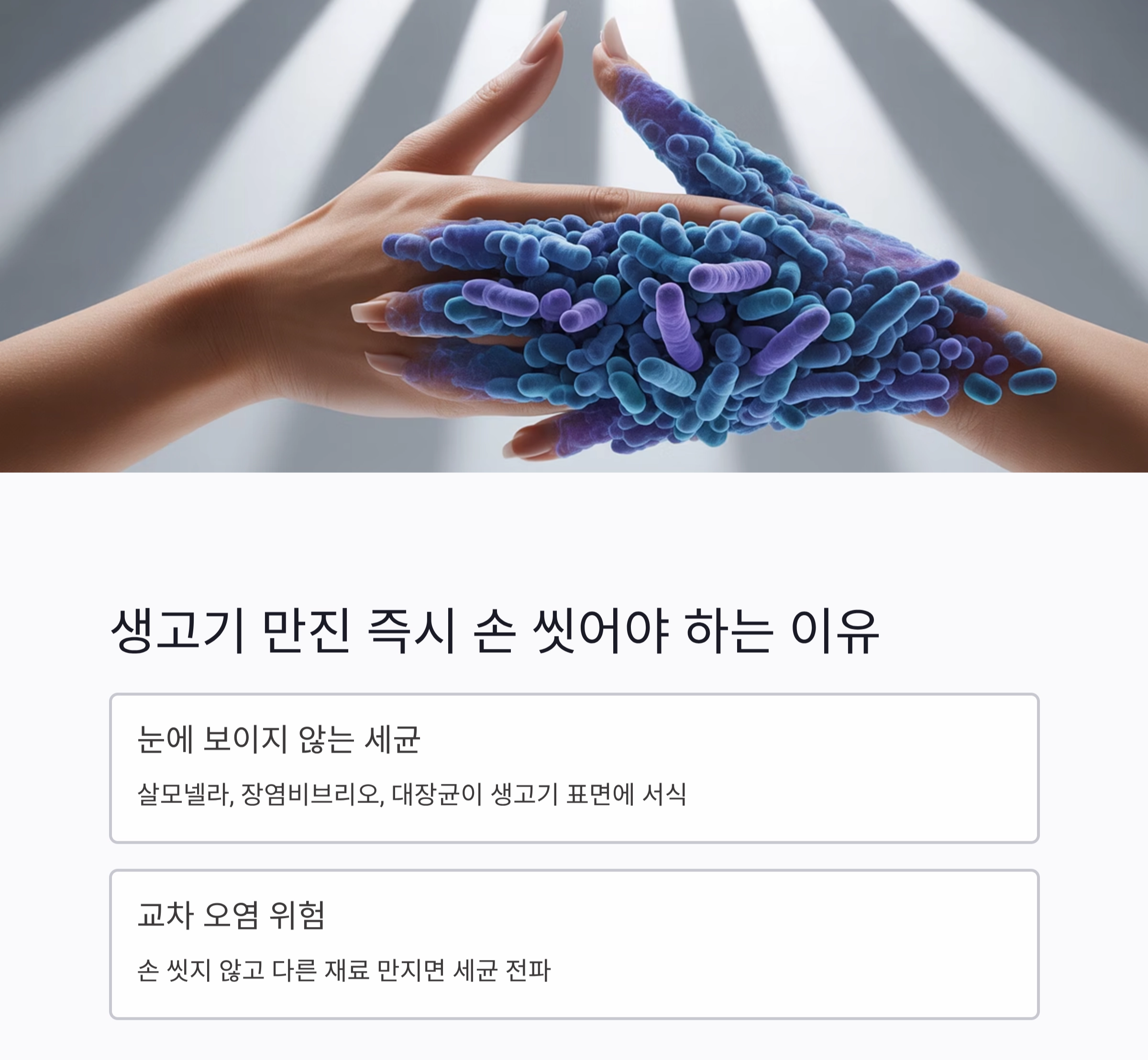 생고기 만진 후 손 씻는 정확한 타이밍과 위생 비밀