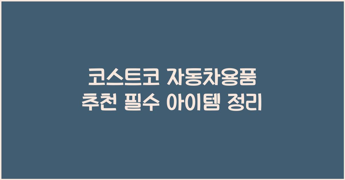 코스트코 자동차용품