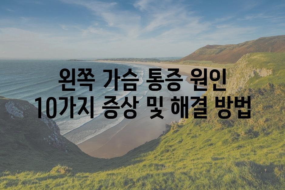 샘플 (86)