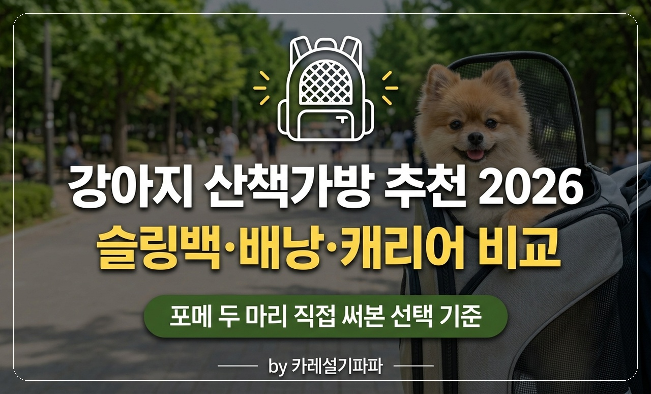 강아지 산책가방 추천 썸네일