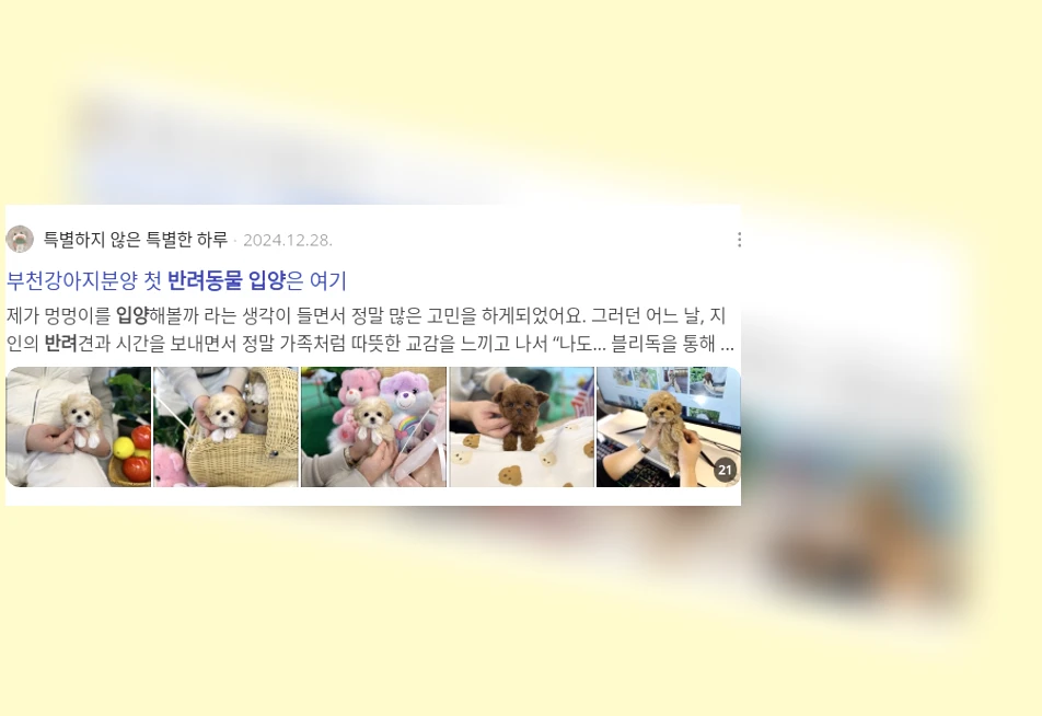 반려동물 입양_3_subsection
