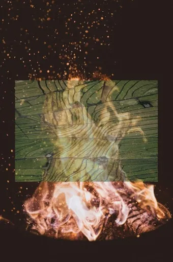 씨앗 저장법 건조 저온 밀봉 발아율 유지 교체 주기_3