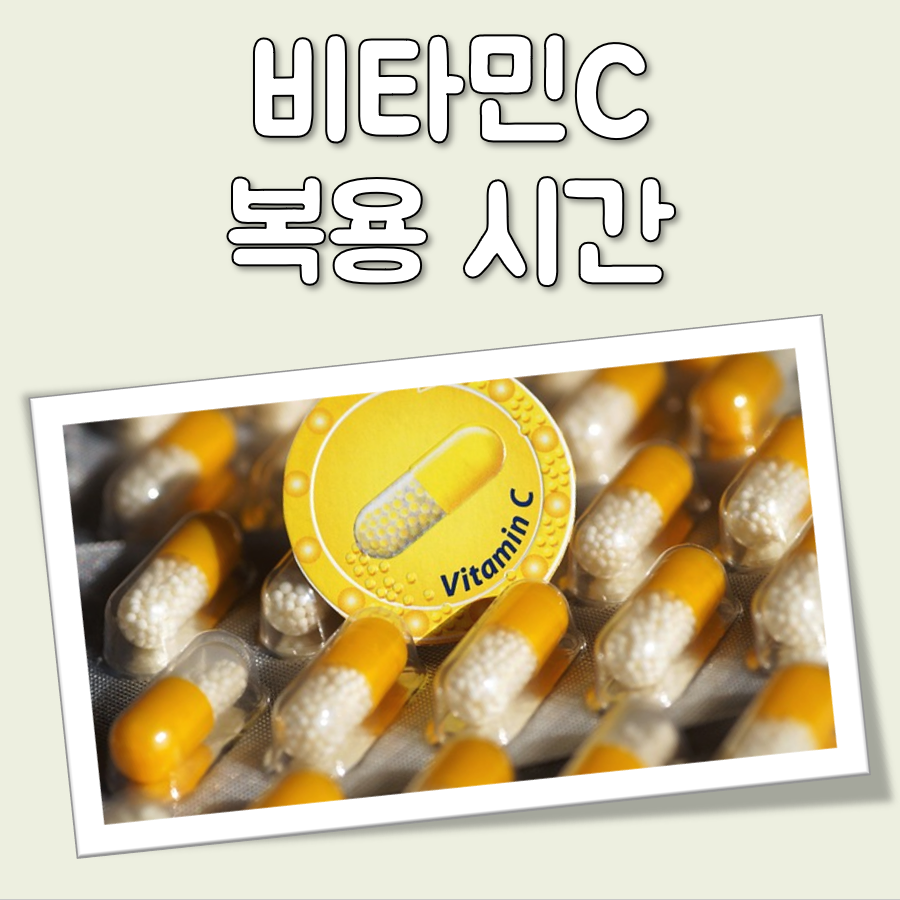 비타민c 복용시간 대표 이미지