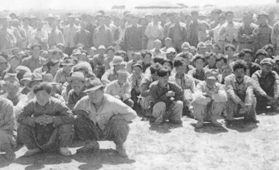 제주 4·3 사건, 대한민국 현대사의 잊을 수 없는 비극 (출처: 『제주 4·3 사건 진상조사 보고서』 (2003))