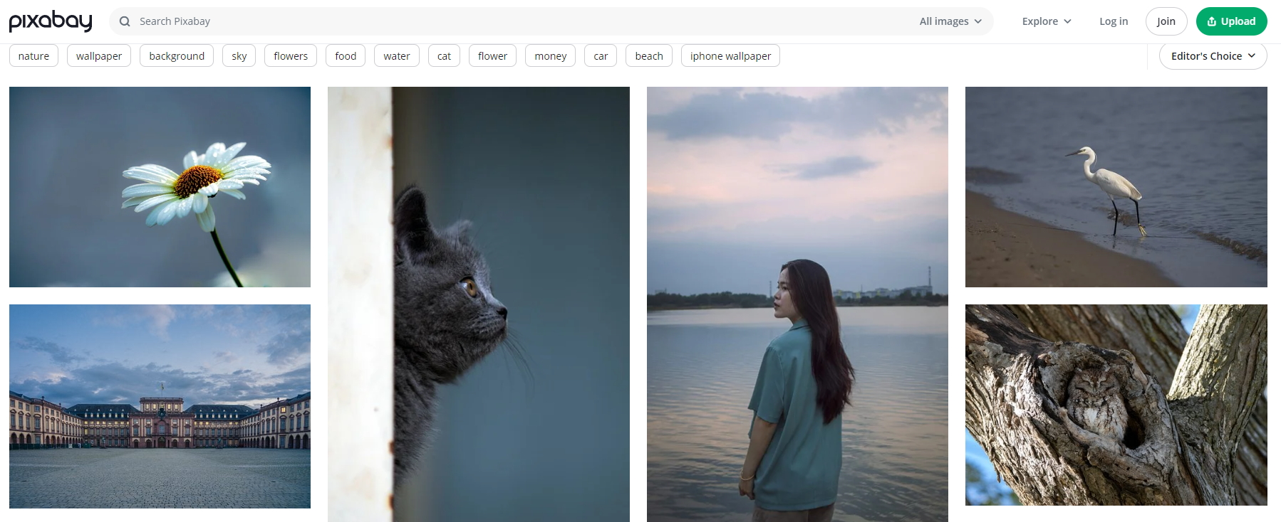 픽사베이사이트