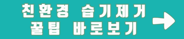 장마철 습기 제거 꿀팁