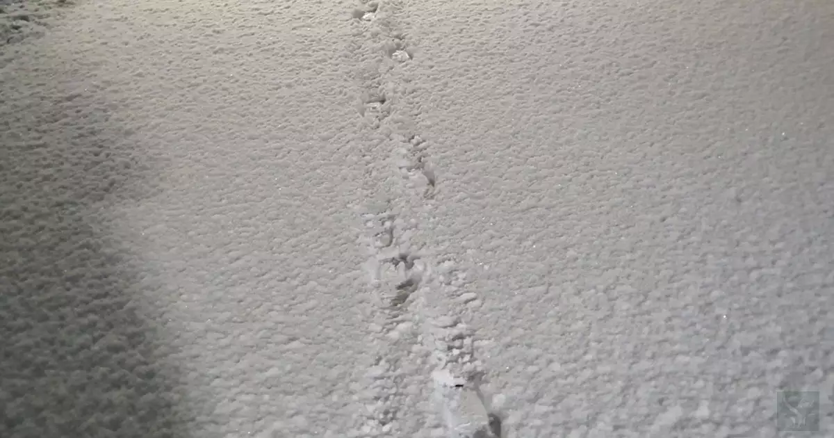 함박눈 내리던 날4