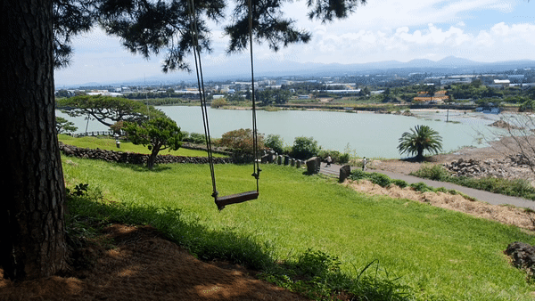 제주도 그네 포토존