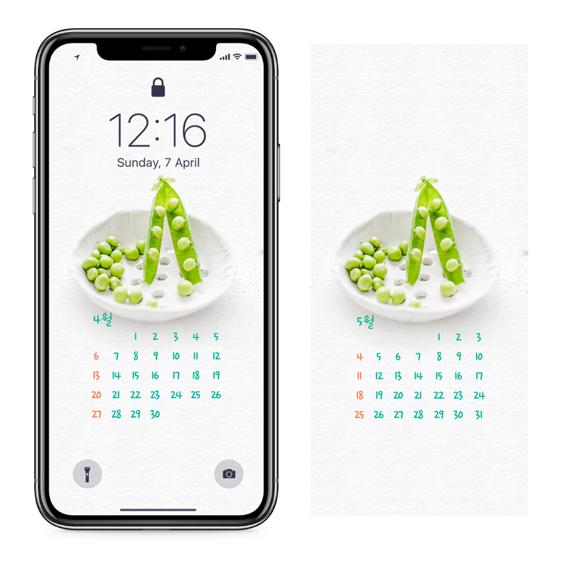 04 완두콩 AB - 2025년4월 아이폰달력배경화면