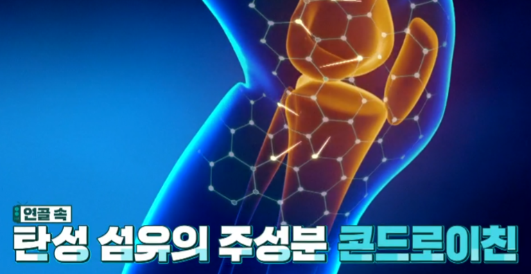콘드로이친