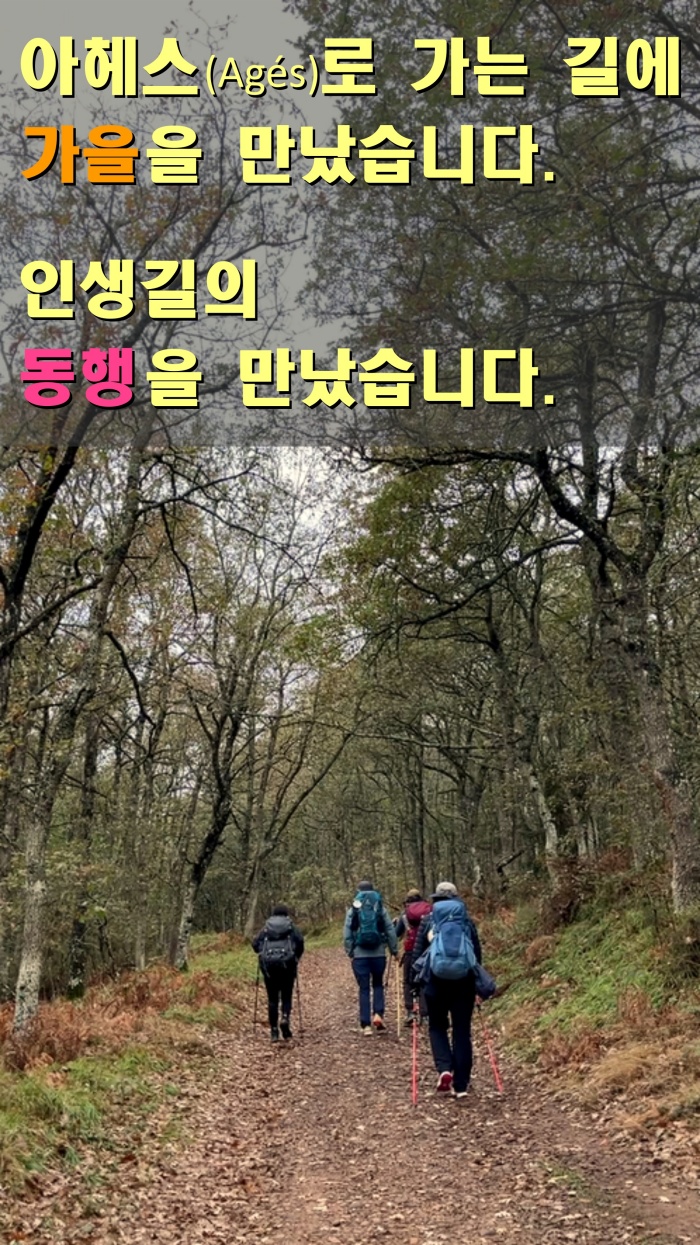산티아고 순례길 후기&#44; 아헤스