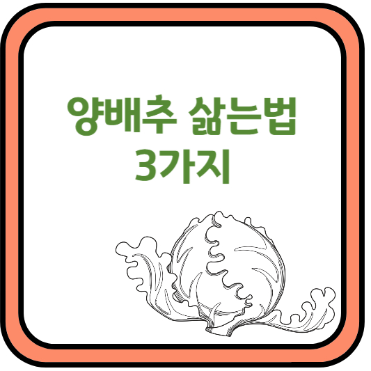양배추
