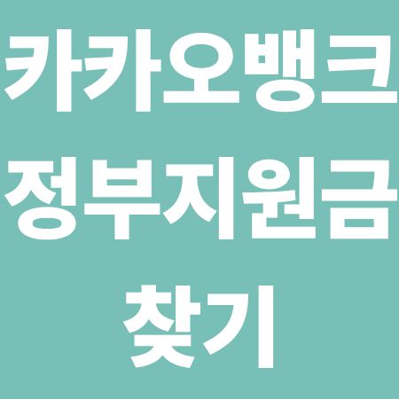 카카오뱅크, 내가 받을 수 있는 정부 지원금