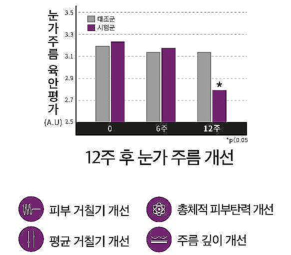 에버콜라겐 타임비오틴