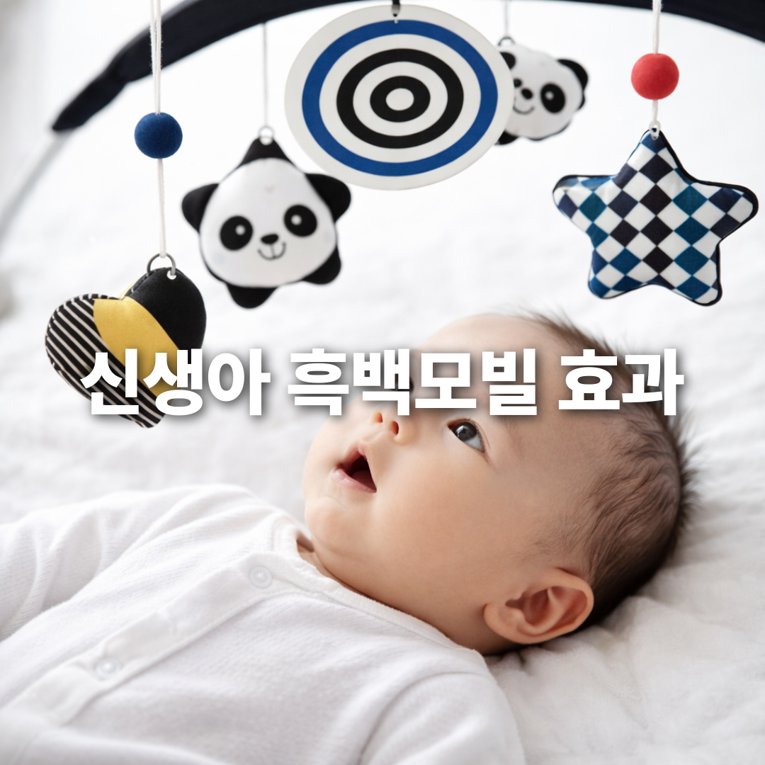 신생아 흑백모빌 언제부터? 시력 발달에 꼭 필요한 이유