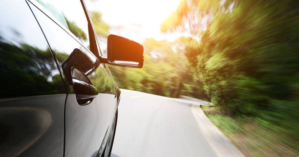 광복절-특사-운전면허-대상자