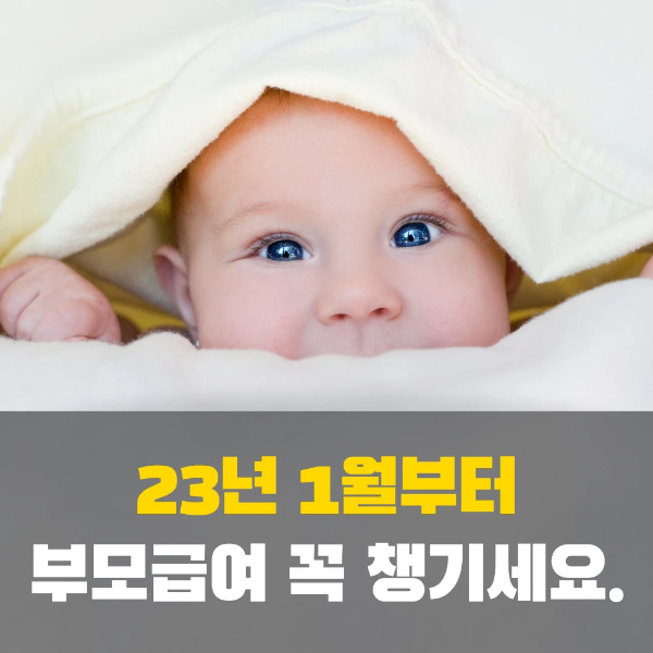 부모급여란 지급시기 영아수당 신청 총정리